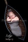 Indigo_Newborn Portrait Photography0017