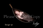 Indigo_Newborn Portrait Photography0052