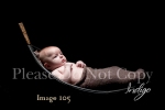 Professional Newborn Baby Photography by Indigo Portrait Studios