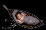 Indigo_Newborn Portrait Photography0108