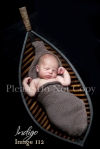 Indigo_Newborn Portrait Photography0112