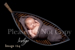 Indigo_Newborn Portrait Photography0124